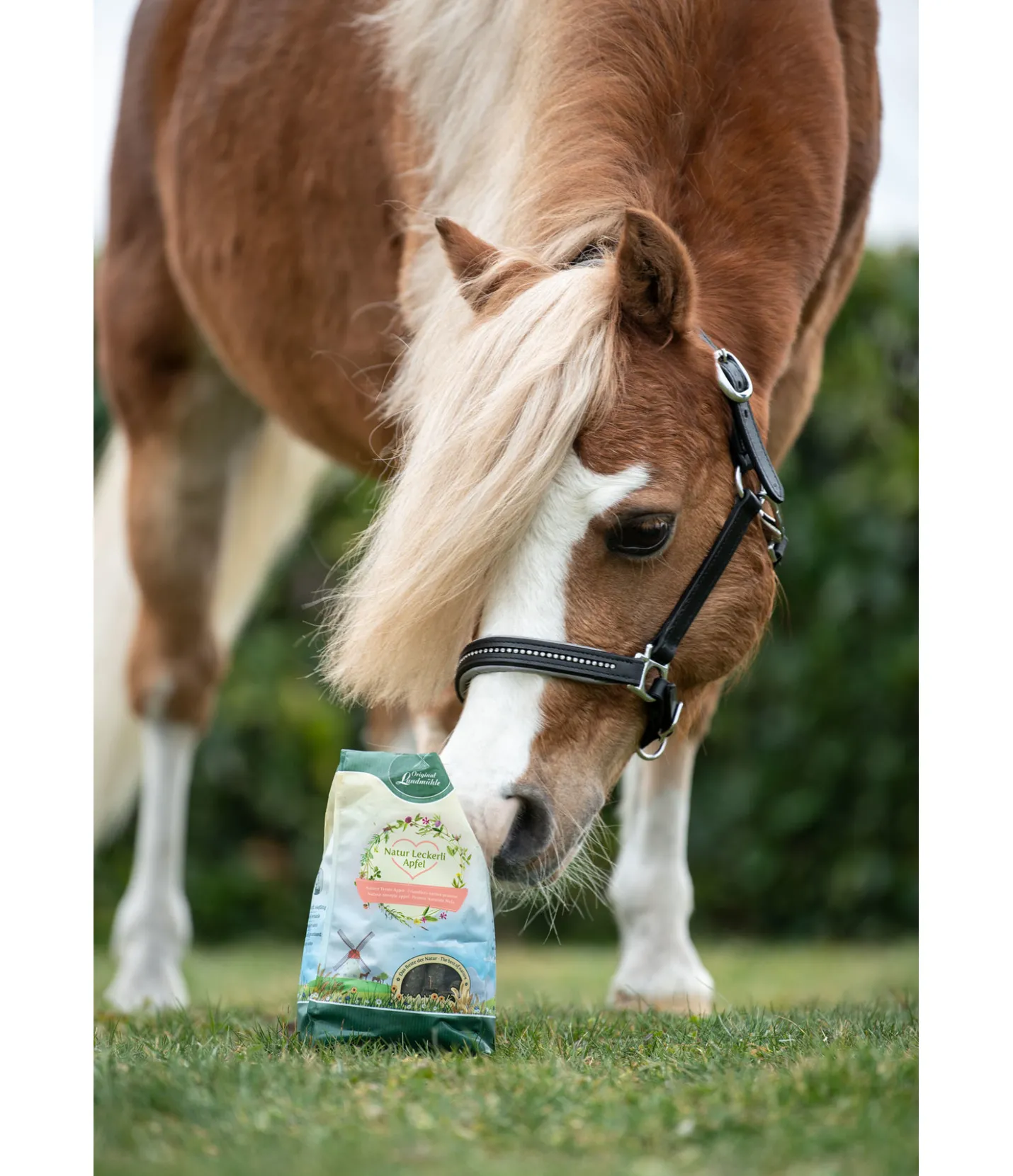 Original Landmühle Friandises Nature Pomme Sale