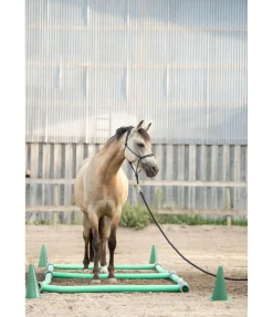 SHOWMASTER Frite en mousse pour travail au sol turquoise Sale