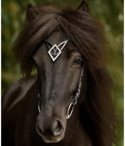 FENGUR Frontal Glitbrá Best