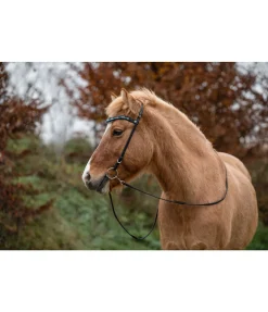 FENGUR Frontal Veifa vert d´eau Best