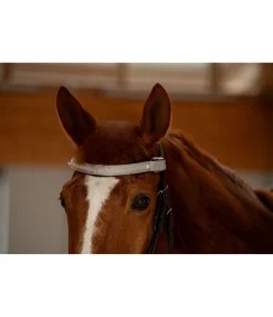 STEEDS Frontal LED Loom brume
