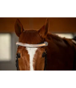 STEEDS Frontal LED Loom brume