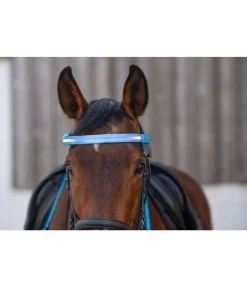STEEDS Frontal LED Loom bleu New