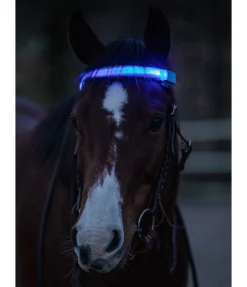 STEEDS Frontal LED Loom bleu New