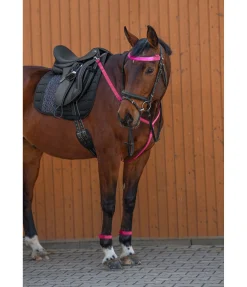 STEEDS Frontal LED Loom pink Sale