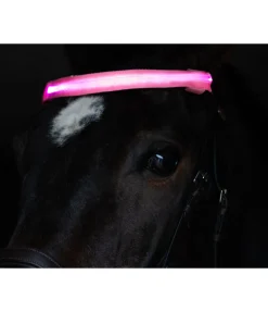 STEEDS Frontal LED Loom pink Sale