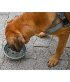 sugar dog Gamelle pliable pour chien Classic Line olive antique Hot