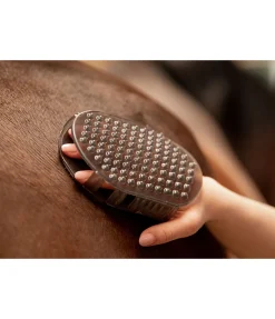 SHOWMASTER Gant de massage noir Hot