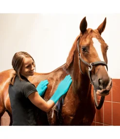 SHOWMASTER Gants de lavage turquoise Discount