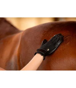 SHOWMASTER Gants de nettoyage Groomy noir