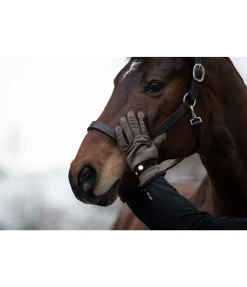 STEEDS Gants d'hiver Luzern noix Discount