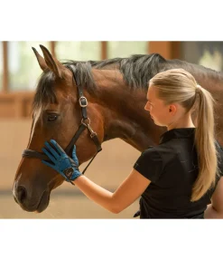 Felix Bühler Gants d'équitation Aero aquamarine