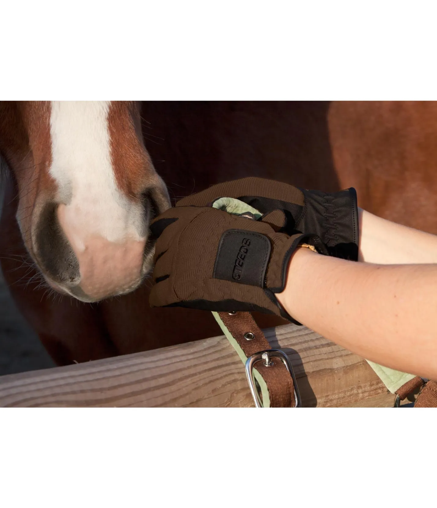 STEEDS Gants d'équitation Newport moka Clearance