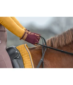 Felix Bühler Gants d'équitation d'hiver Zermatt acajou Clearance