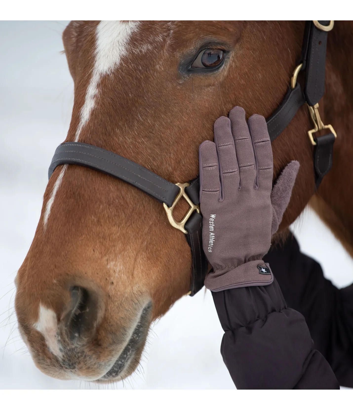 STONEDEEK Gants d'équitation d'hiver Omeo chocolat noir