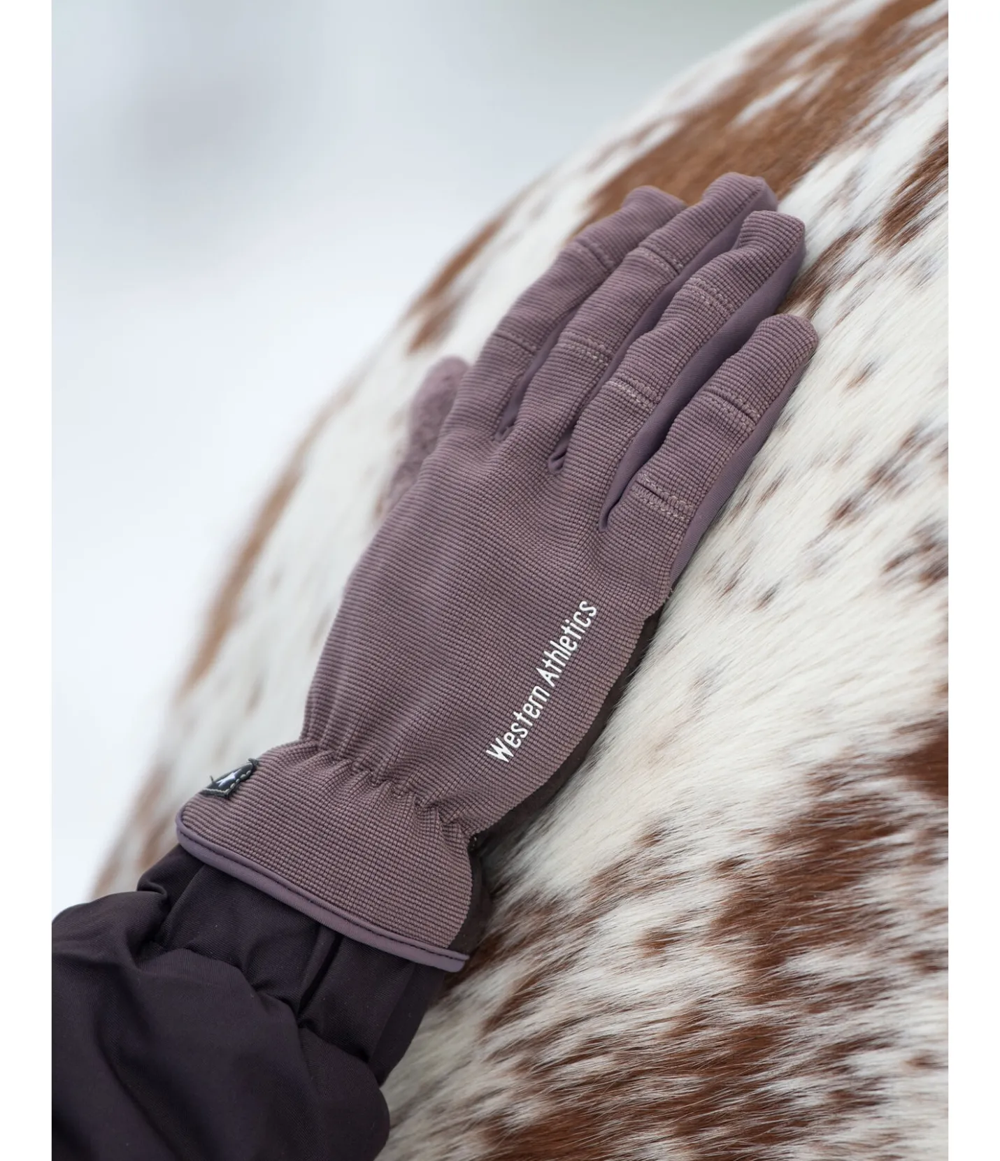 STONEDEEK Gants d'équitation d'hiver Omeo chocolat noir
