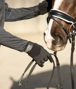 Felix Bühler Gants d'équitation d'hiver Oslo noir Discount