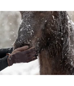STONEDEEK Gants d'équitation d'été Omeo chocolat noir New