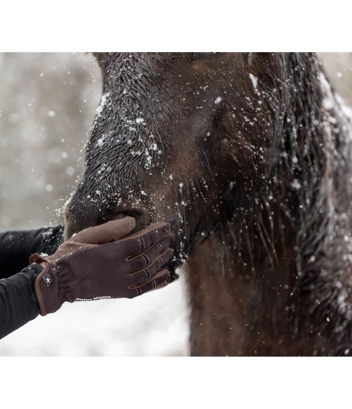 STONEDEEK Gants d'équitation d'été Omeo chocolat noir New