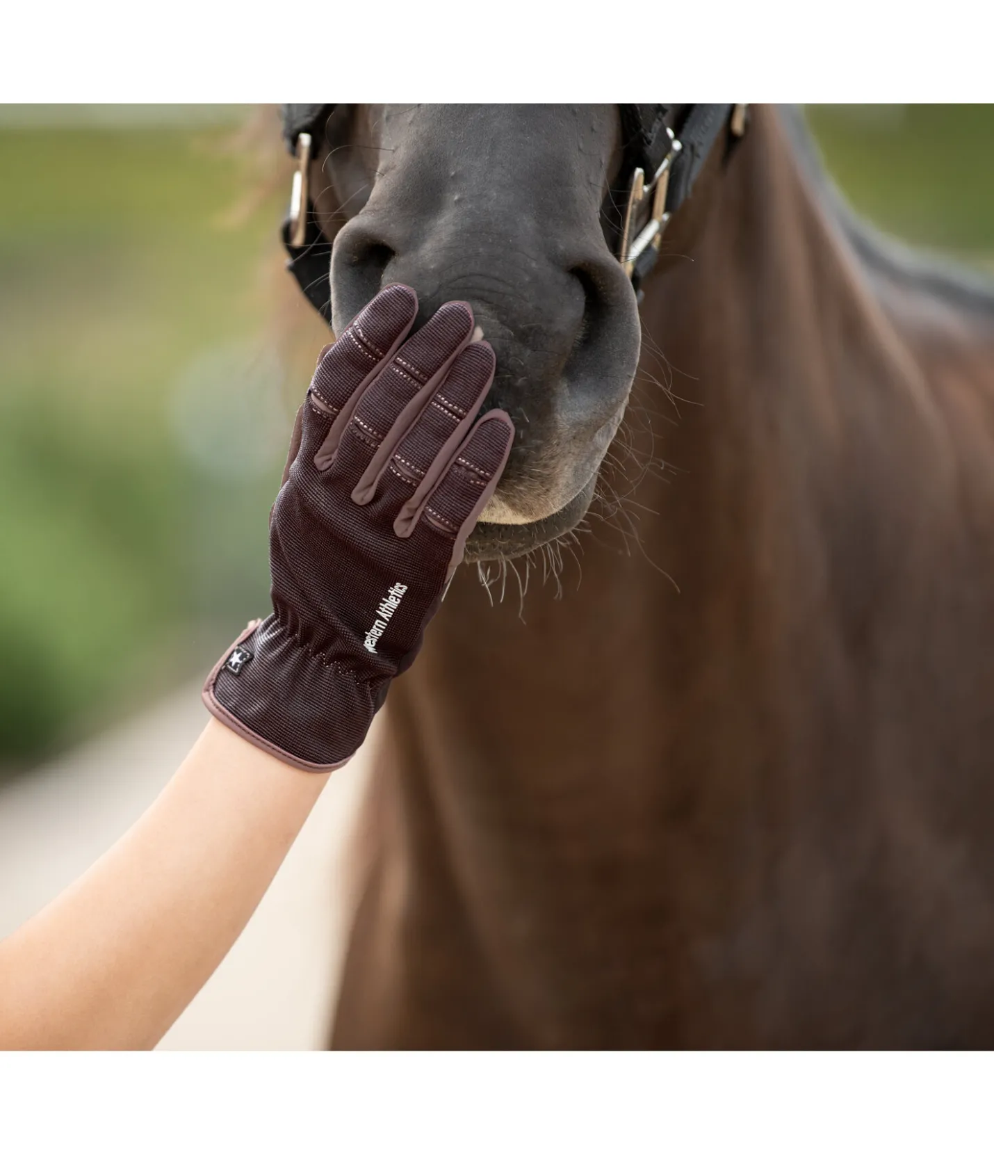 STONEDEEK Gants d'équitation d'été Omeo chocolat noir New