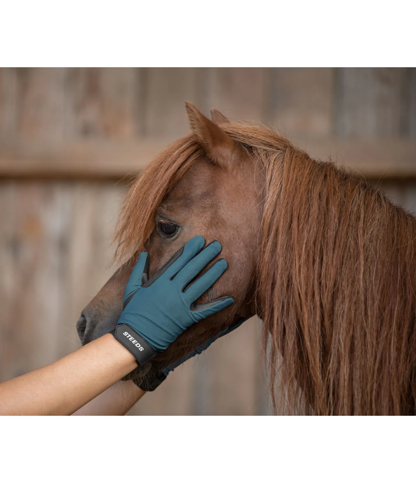 STEEDS Gants d'équitation d'été Dalia aquamarine New