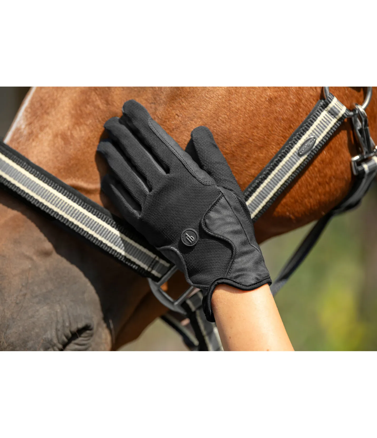 Felix Bühler Gants d'équitation été Donna noir Sale