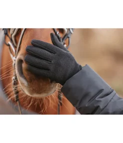 STEEDS Gants hiver en polaire Softy noir Online