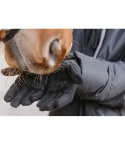 STEEDS Gants hiver en polaire Softy noir Online
