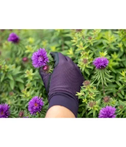 STEEDS Gants toutes saisons Joelene aubergine Clearance
