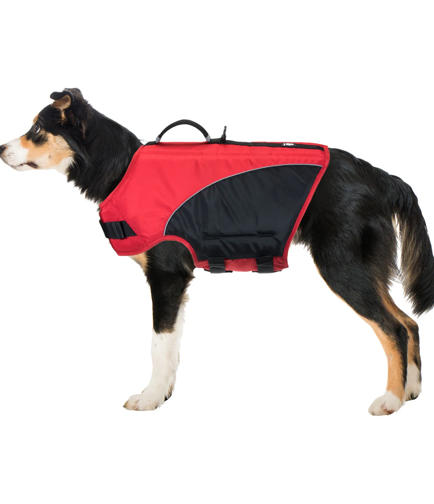 sugar dog Gilet de sauvetage pour chien Life Guard rouge Hot