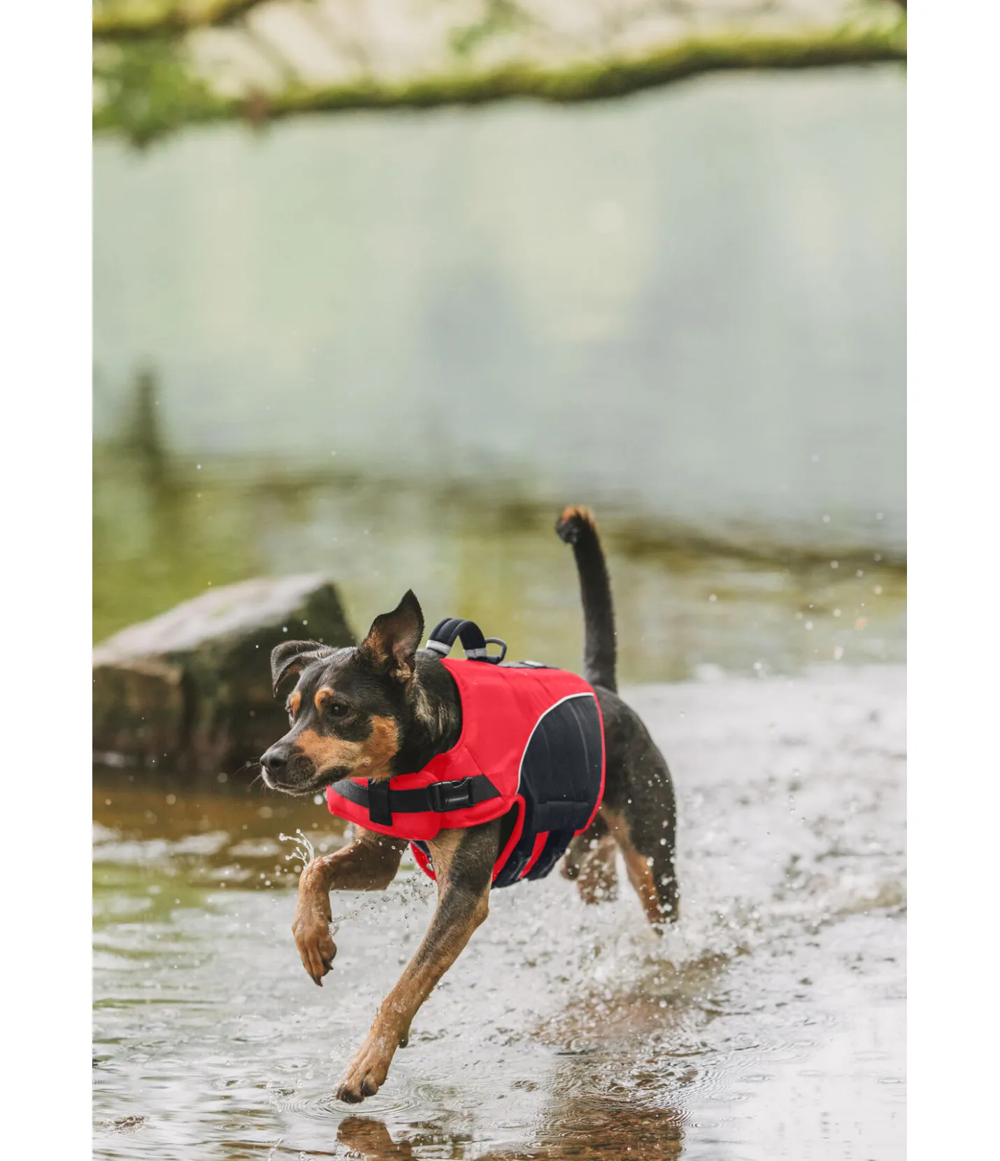 sugar dog Gilet de sauvetage pour chien Life Guard rouge Hot