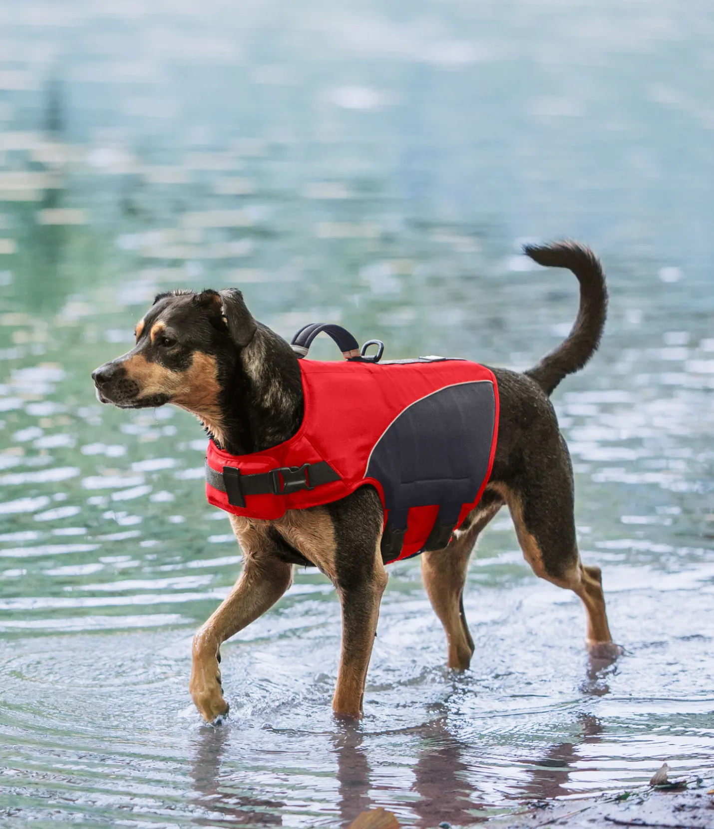 sugar dog Gilet de sauvetage pour chien Life Guard rouge Hot