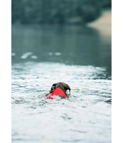 sugar dog Gilet de sauvetage pour chien Life Guard rouge Hot
