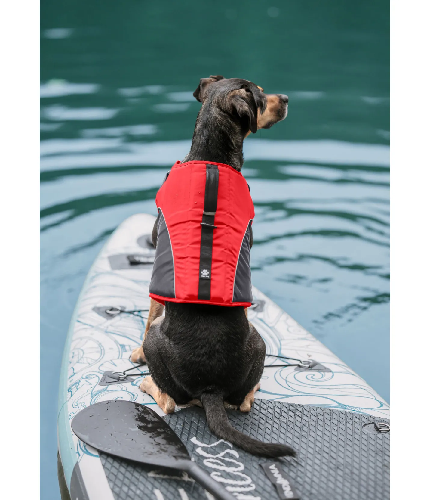 sugar dog Gilet de sauvetage pour chien Life Guard rouge Hot