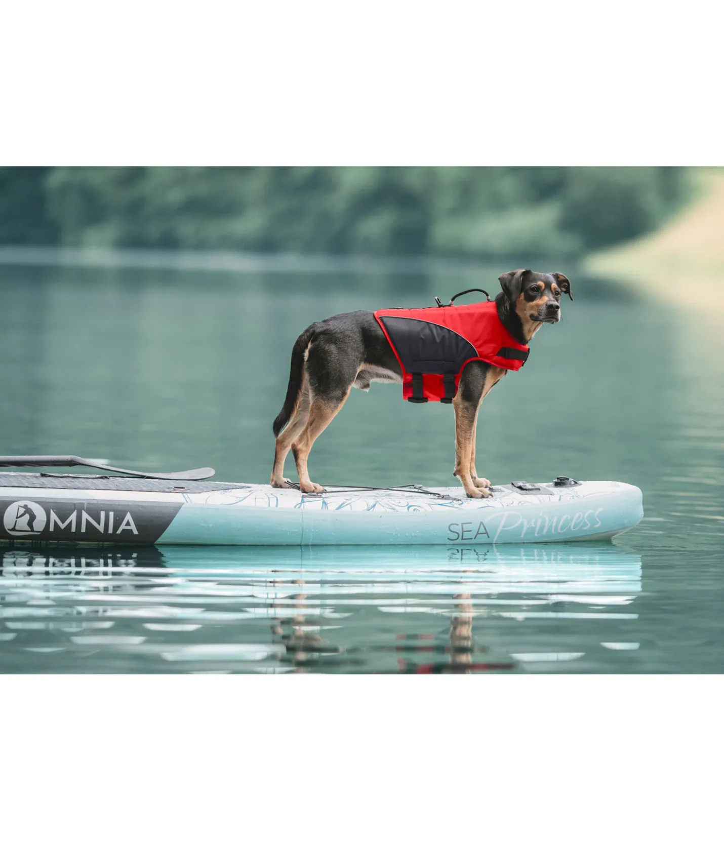 sugar dog Gilet de sauvetage pour chien Life Guard rouge Hot