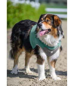 sugar dog Gilet rafraîchissant pour chien Refresh bleu atlantique Discount