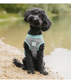 sugar dog Gilet rafraîchissant pour chien Refresh bleu atlantique Discount