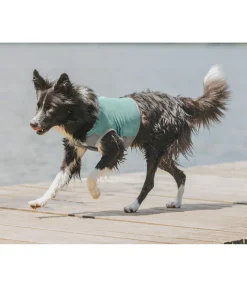 sugar dog Gilet rafraîchissant pour chien Refresh bleu atlantique Discount