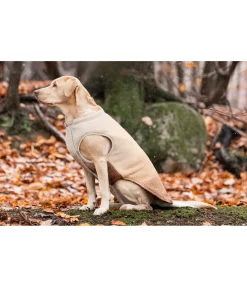 sugar dog Gilet softshell réversible pour chien Willa, 80 g cranberry Online