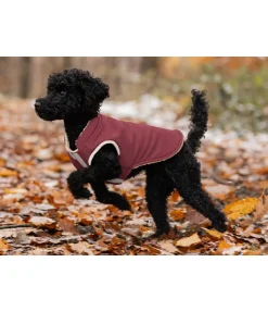 sugar dog Gilet softshell réversible pour chien Willa, 80 g cranberry Online