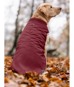 sugar dog Gilet softshell réversible pour chien Willa, 80 g cranberry Online