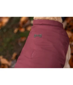 sugar dog Gilet softshell réversible pour chien Willa, 80 g cranberry Online