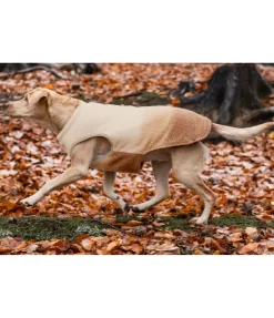 sugar dog Gilet softshell réversible pour chien Willa, 80 g cranberry Online