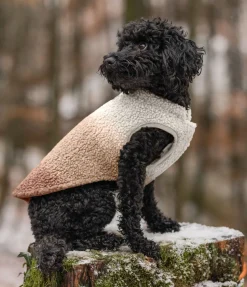 sugar dog Gilet softshell réversible pour chien Willa, 80 g cranberry Online