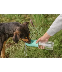 sugar dog Gourde de voyage pour chien Wanderlust II vert candy Outlet