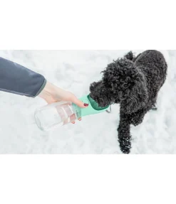 sugar dog Gourde de voyage pour chien Wanderlust II vert candy Outlet