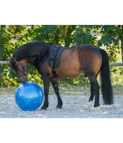 Kramer Grosse balle de jeu pour cheval bleu
