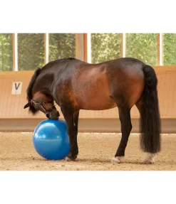 Kramer Grosse balle de jeu pour cheval bleu