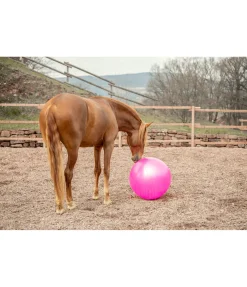 Kramer Grosse balle de jeu pour cheval pink Online