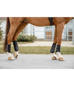 SHOWMASTER Guêtres Classic (pour antérieurs) noir/noir Online
